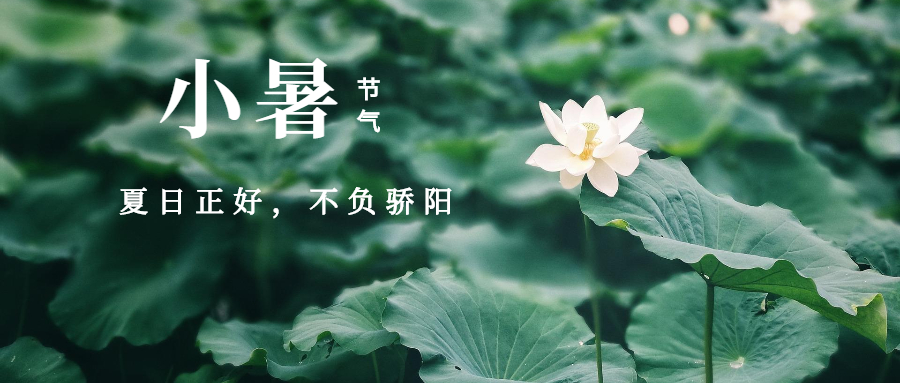 СԸǻ洦