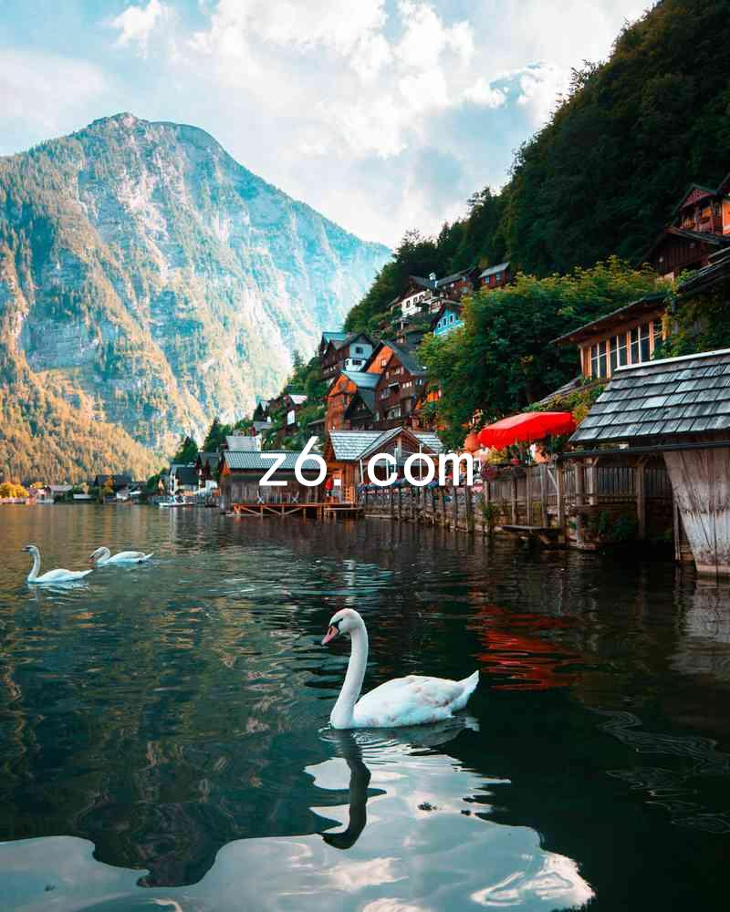 z6.com