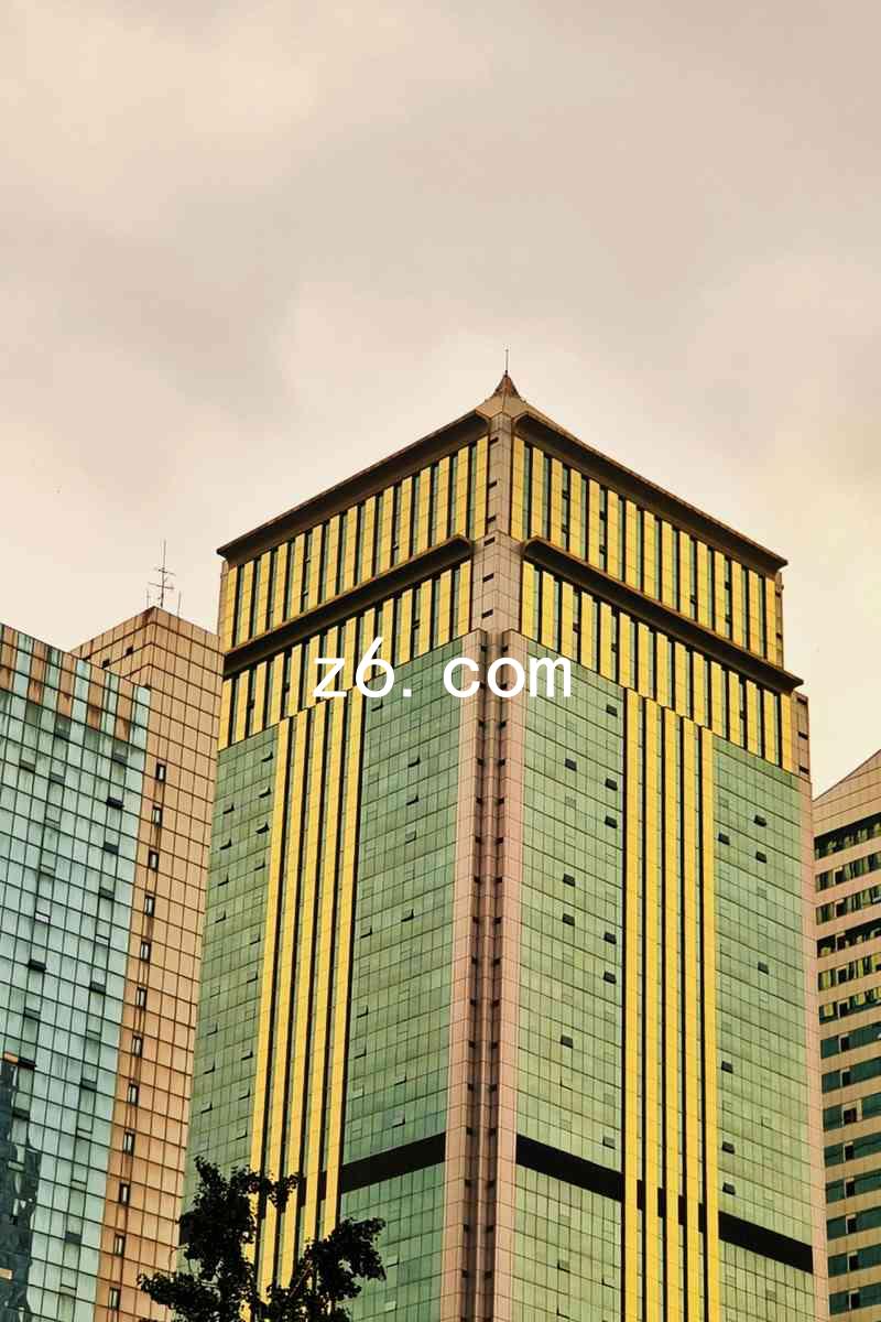 z6.com